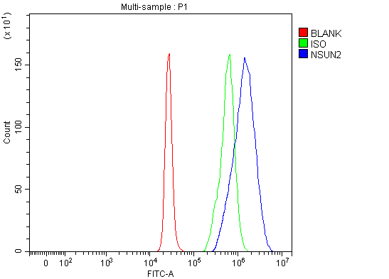 a03878 1 nsun2 primary antibodies fcm testing 9