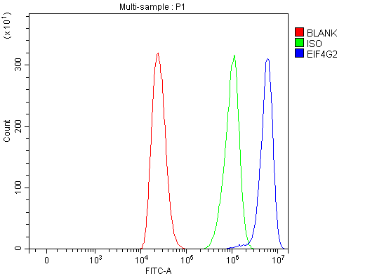  Flow Cytometry analysis of THP-1 cells using anti-P97/DAP5/EIF4G2 antibody (A03888-1)