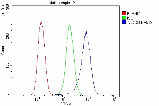 a03893 2 aldob primary antibodies fc testing 4