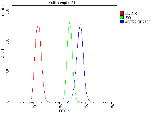 a03898 1 actr2 primary antibodies fcm testing 5_1