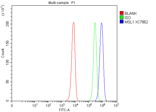 a03910 1 msl1 primary antibodies fcm testing 1