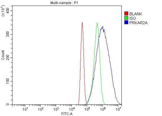 Flow Cytometry analysis of A431 cells using anti-PKA R2/PKR2/PRKAR2A antibody (A03911-2)