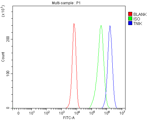 a03934 3 tnik primary antibodies fcm testing 15