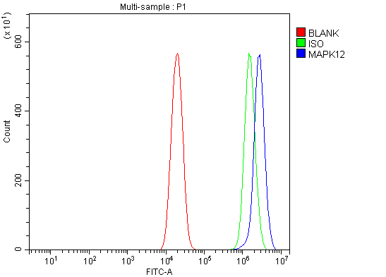 a03942 1 mapk12 primary antibodies fcm testing 3