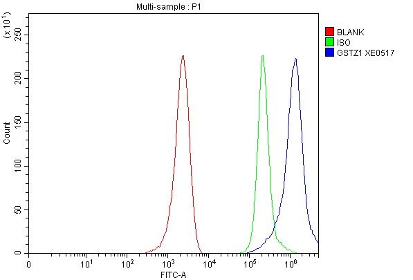 Flow Cytometry analysis of MCF-7 cells using anti-GSTZ1 antibody (A03948-1)