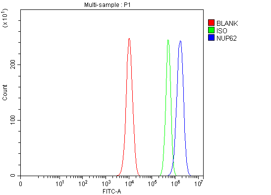 a03950 2 nup62 primary antibodies fcm testing 5