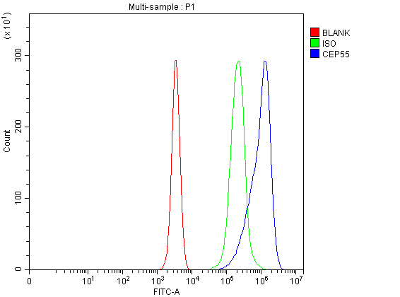 a03954 3 cep55 primary antibodies fcm testing 1