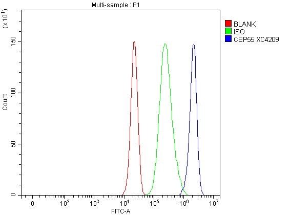 Flow Cytometry analysis of A549 cells using anti-CEP55 antibody (A03954-4)