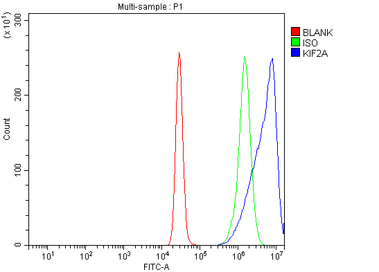 a03979 1 kif2a primary antibodies fcm testing 6