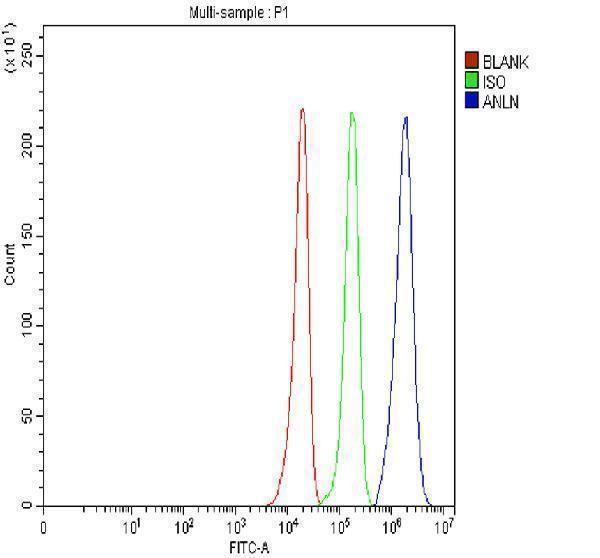 a03997 1 anln primary antibodies fcm testing 4
