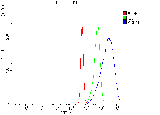 a04010 2 adrm1 primary antibodies fcm testing 8