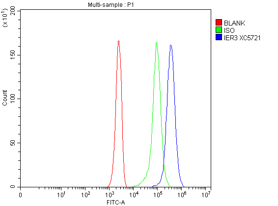  Flow Cytometry analysis of Jurkat cells using anti-IER3 antibody (A04014-1)