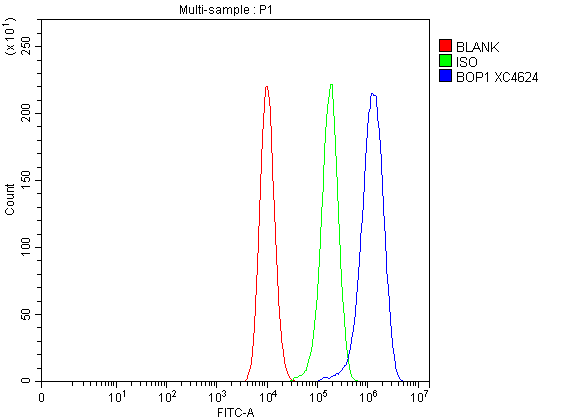  Flow Cytometry analysis of CACO-2 cells using anti-BOP1 antibody (A04026-2)