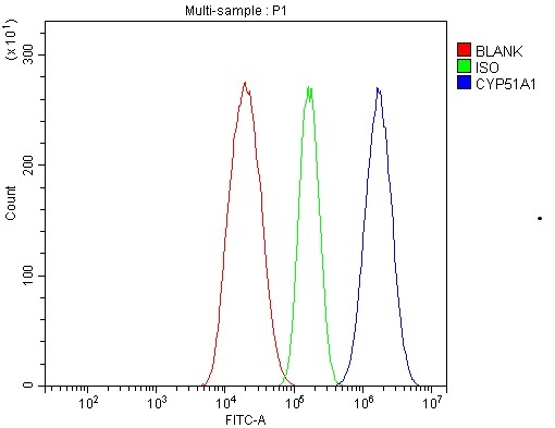 a04032 1 cyp51a1 primary antibodies fcm testing 3