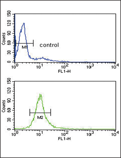 a04032 2 anti cyp51a1 antibody center fc testing 3