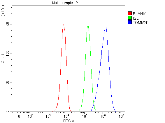 a04039 2 tomm20 primary antibodies fcm testing 1