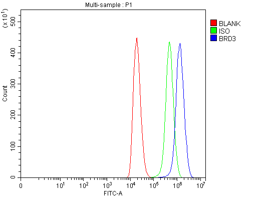  Flow Cytometry analysis of 293T cells using anti-BRD3 antibody (A04044-3)