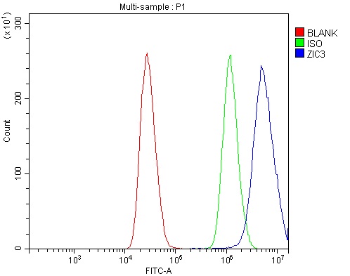 a04050 2 zic3 primary antibodies fcm testing 2