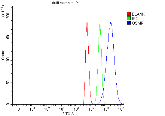  Flow Cytometry analysis of C2C12 cells using anti-Osmr antibody (A04061-2)