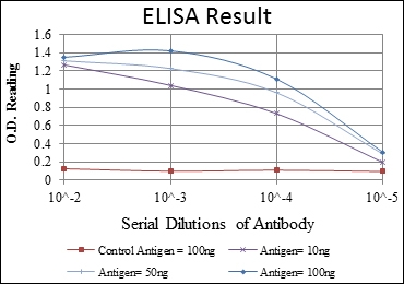 a04072 lims1 primary antibodyes elisa testing 4