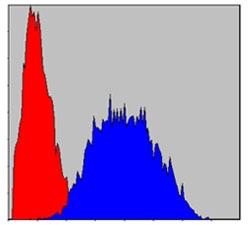a04072 lims1 primary antibodyes fcm testing 2