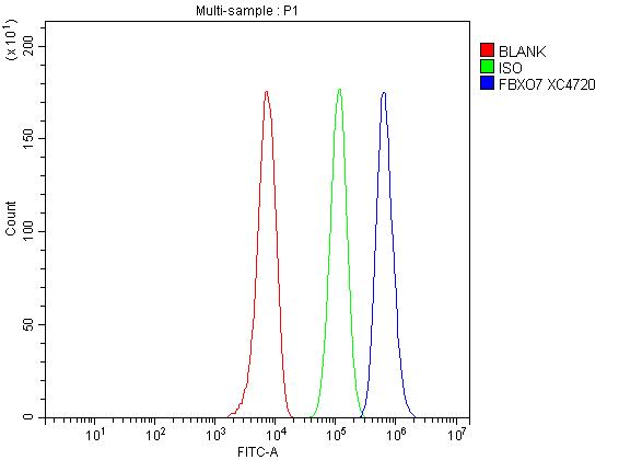 a04086 2 fbxo7 primary antibodies fcm testing 7
