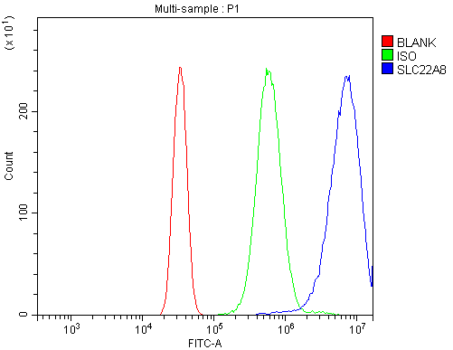 a04087 1 slc22a8 primary antibodies fcm testing 2