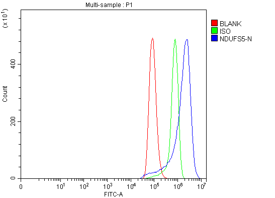 a04093 1 ndufs5 primary antibodies fcm testing 8