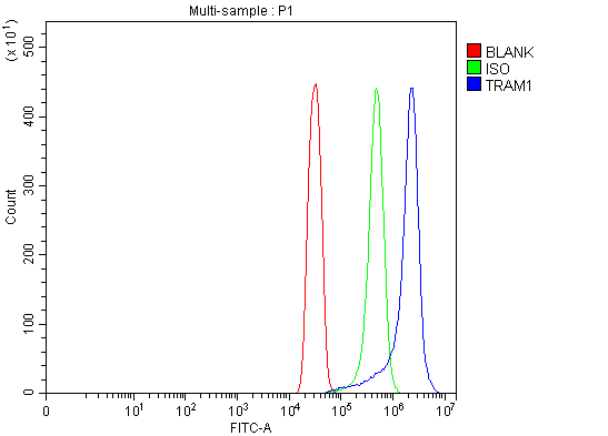  Flow Cytometry analysis of SiHa cells using anti-TRAM1 antibody (A04106)