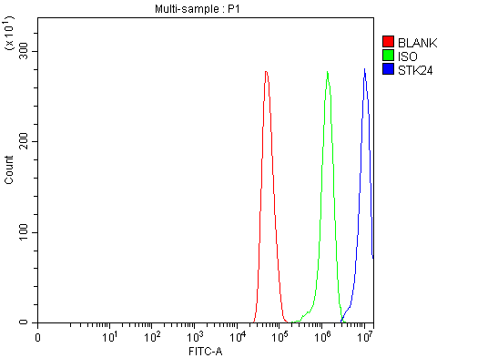 a04112 3 stk24 primary antibodies fcm testing 5