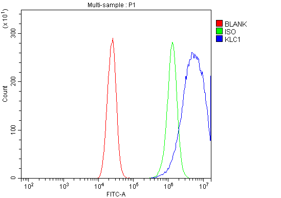 a04116 2 klc1 primary antibodies fcm testing 4_1