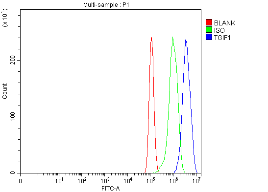  Flow Cytometry analysis of PC-3 cells using anti-TGIF/TGIF1 antibody (A04122-1)