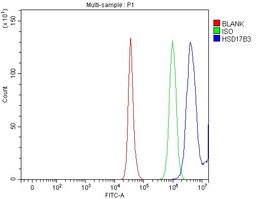  Flow Cytometry analysis of HepG2 cells using anti-HSD17B3 antibody (A04128-3)
