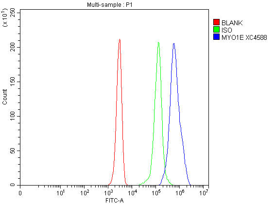 a04139 1 myo1e primary antibodies fcm testing 2