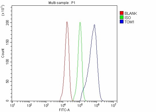 a04143 1 tom1 primary antibodies fcm testing 5