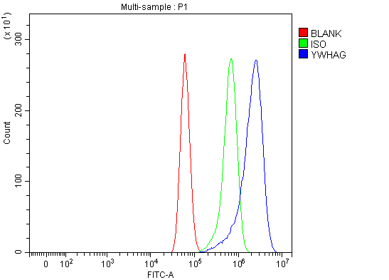  Flow Cytometry analysis of U87 cells using anti-14-3-3 Gamma/YWHAG antibody (A04148-1)