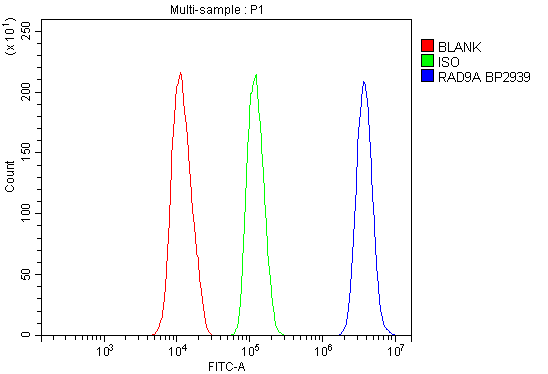 a04161 1 rad9a primary antibodies fcm testing 6