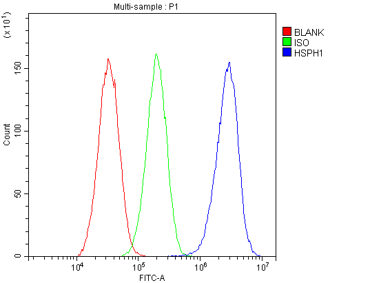 a04168 hsp105 primary antibodies fc testing 7