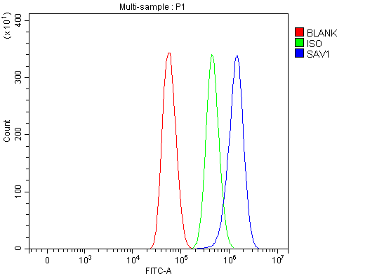 a04183 2 sav1 primary antibodies fcm testing 5