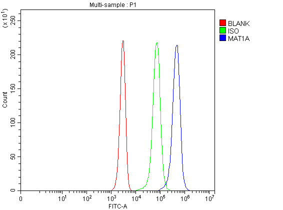 Flow Cytometry analysis of Jurkat cells using anti-MAT1A antibody (A04203-1)