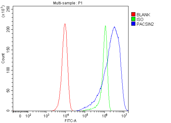 a04211 2 pacsin2 primary antibodies fcm testing 9