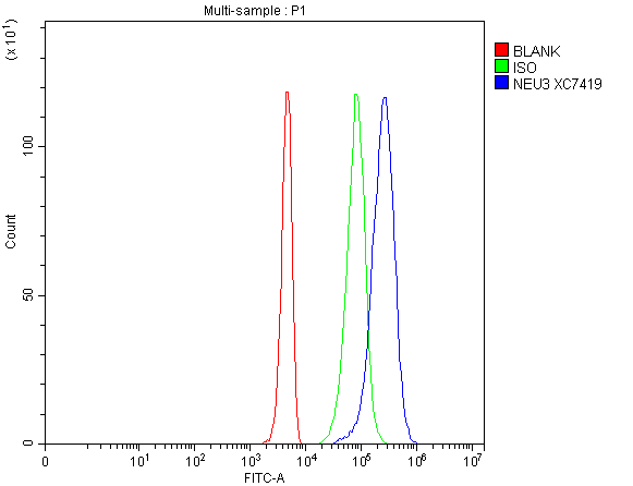 a04213 1 neu3 primary antibodies fcm testing 1