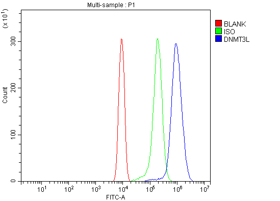  Flow Cytometry analysis of ANA-1 cells using anti-Dnmt3l antibody (A04214-2)