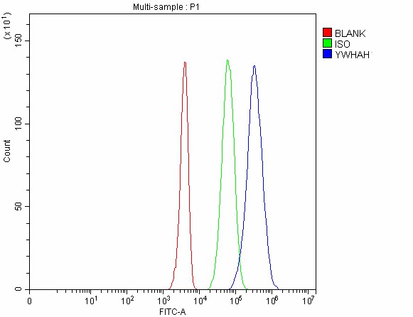 Figure 5. Flow Cytometry analysis of 293T cells using anti-YWHAH antibody (A04219-2). Overlay histogram showing 293T cells stained with A04219-2(Blue line). The cells were fixed with 4% paraformaldehyde and blocked with 10% normal goat serum. And then incubated with rabbit anti-YWHAH Antibody (A04219-2, 1 microg/1x106 cells) for 30 min at 20°C. DyLight®488 conjugated goat anti-rabbit IgG (BA1127, 5-10 microg/1x106 cells) was used as secondary antibody for 30 minutes at 20°C. Isotype control antibody (Green line) was rabbit IgG (1 microg/1x106) used under the same conditions. Unlabelled sample without incubation with primary antibody and secondary antibody (Red line) was used as a blank control.