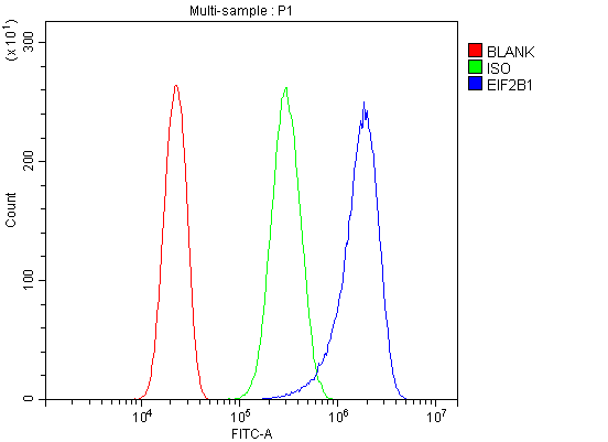 a04239 1 eif2b1 primary antibodies fcm testing 4