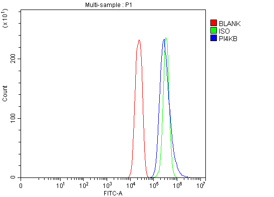 a04249 2 pi4kb primary antibodies fcm testing 4