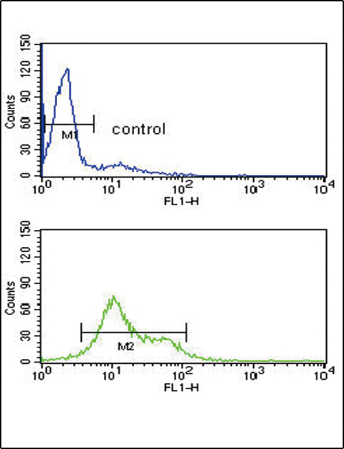 a04262 1 anti mdh1 antibody c term fc testing 3