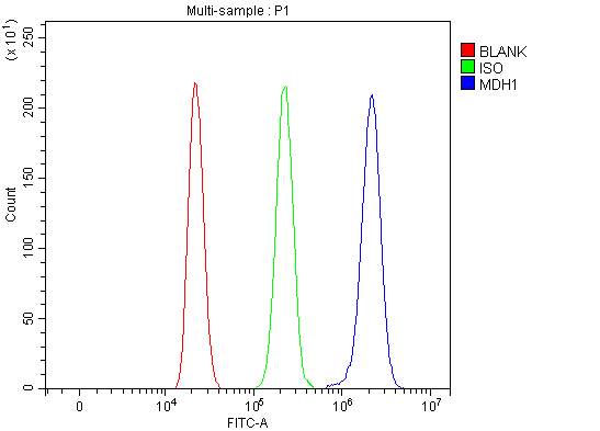 a04262 2 mdh1 primary antibodies fcm testing 2