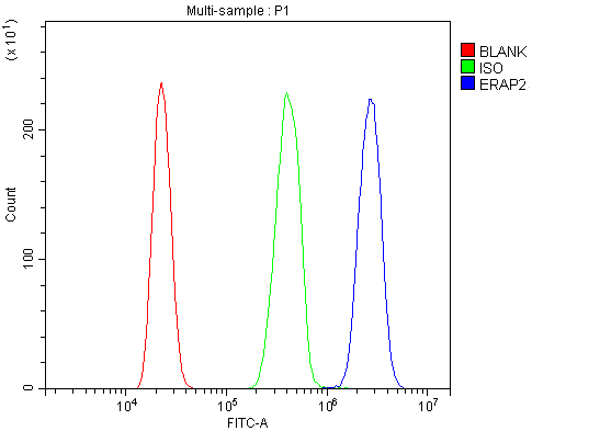 a04269 1 erap2 primary antibodies fcm testing 4