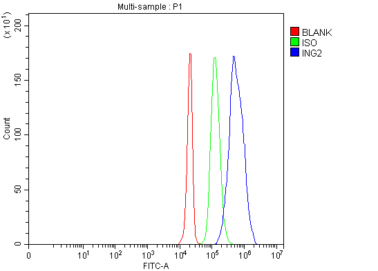  Flow Cytometry analysis of HepG2 cells using anti-ING2 antibody (A04290-3)